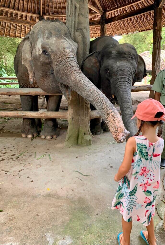 Bali z dziećmi – czy to dobry kierunek na rodzinne wakacje? 3 IMG 2268